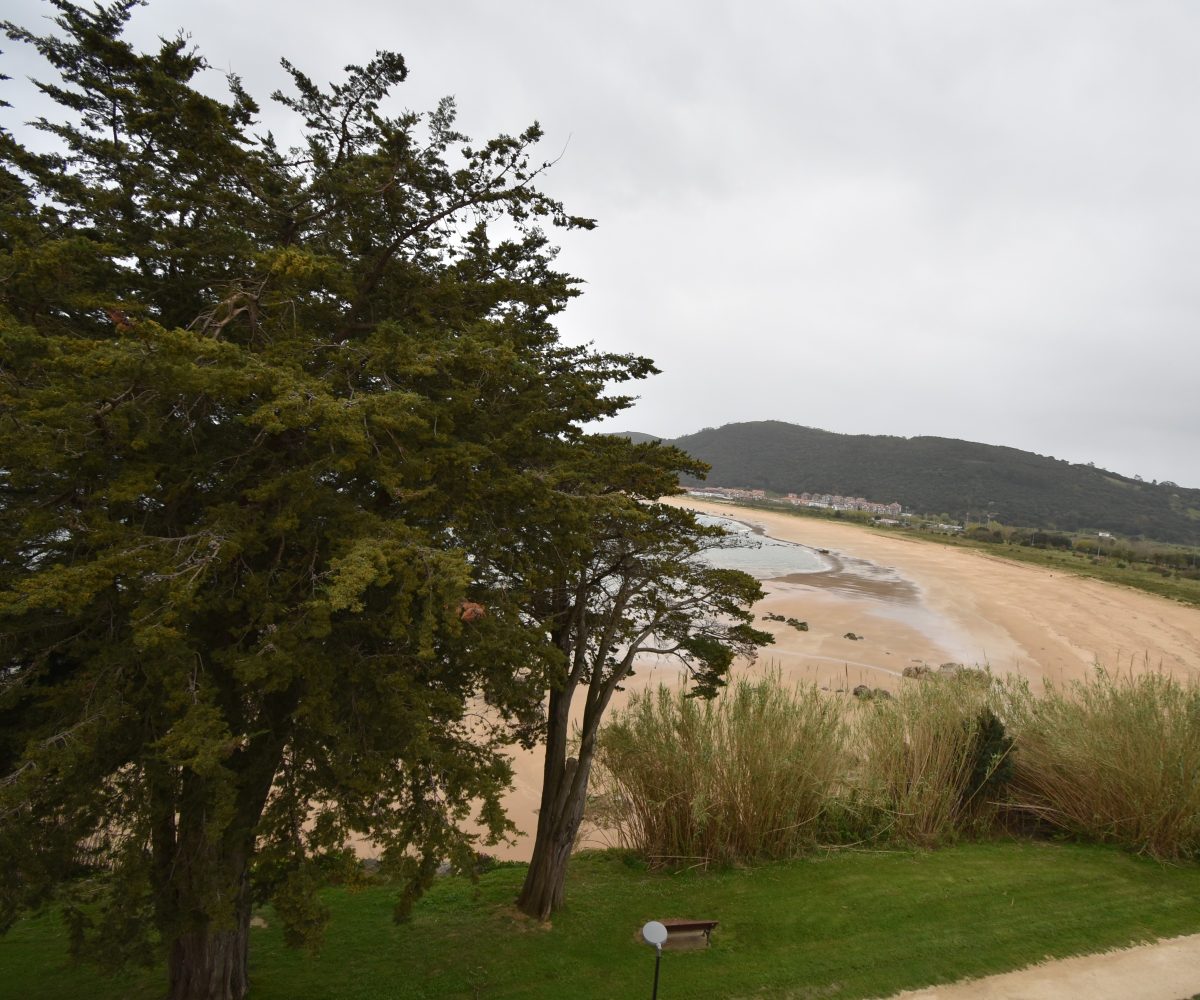 | Inmobiliaria Alfonso
