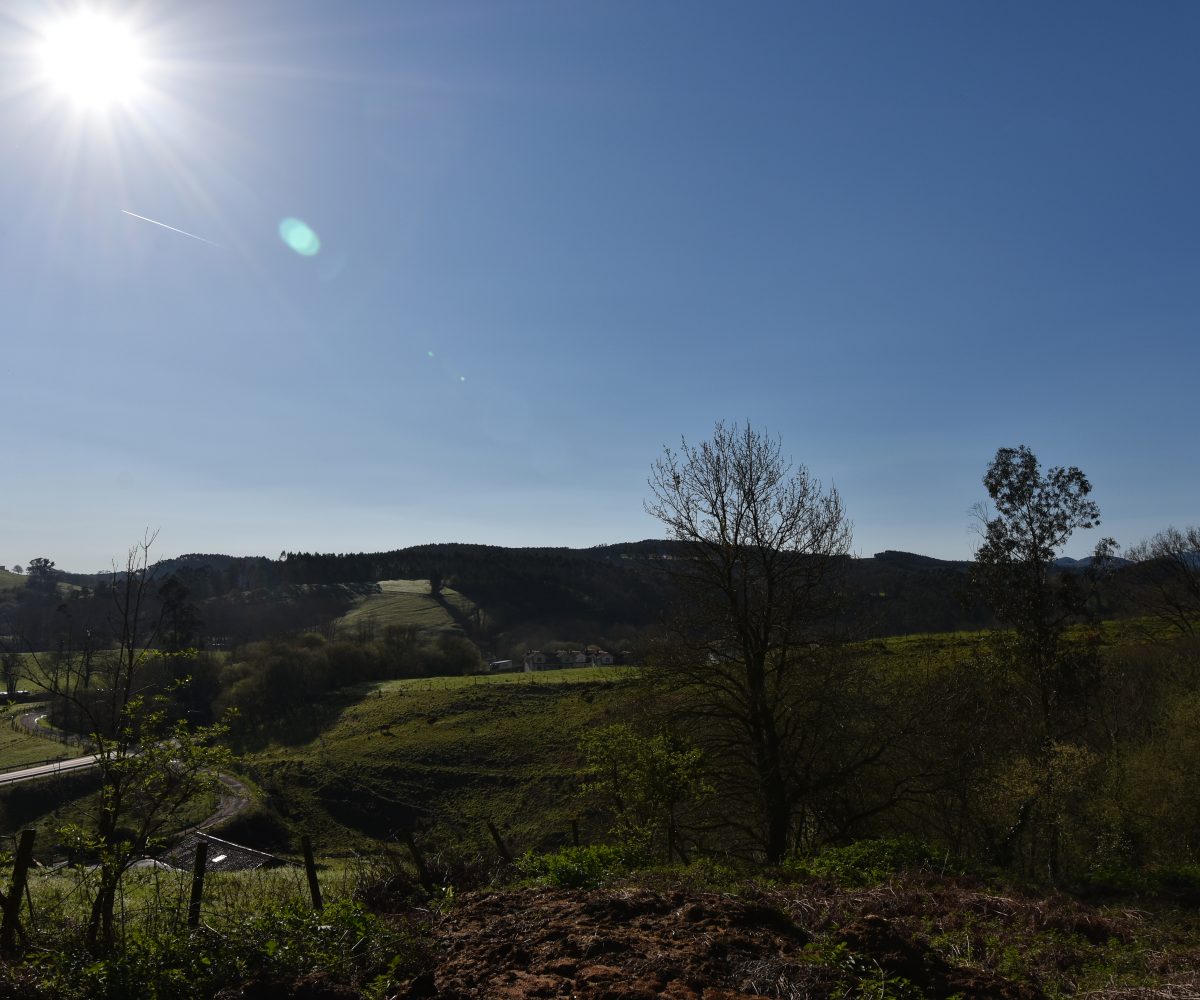 | Inmobiliaria Alfonso