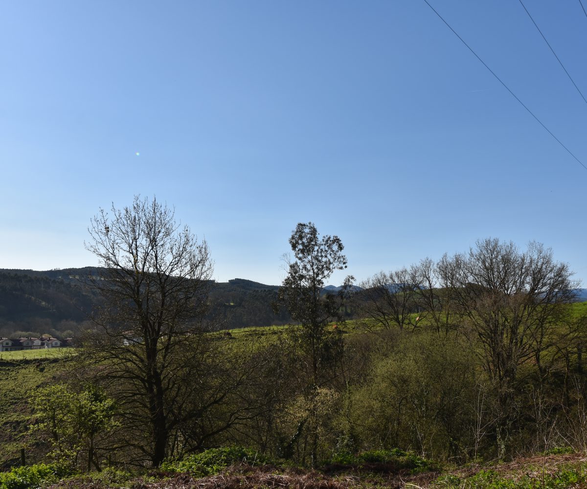 | Inmobiliaria Alfonso