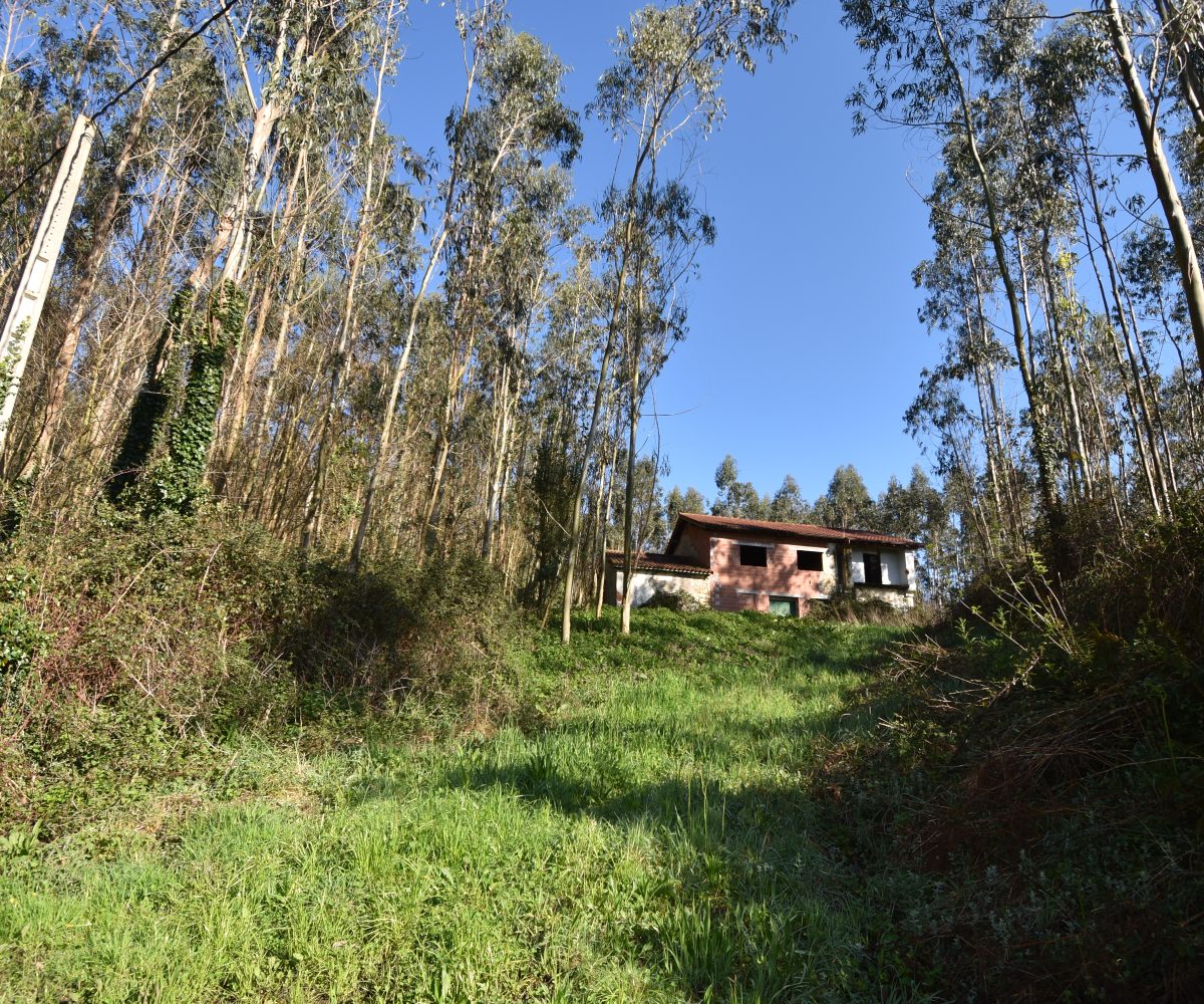 | Inmobiliaria Alfonso