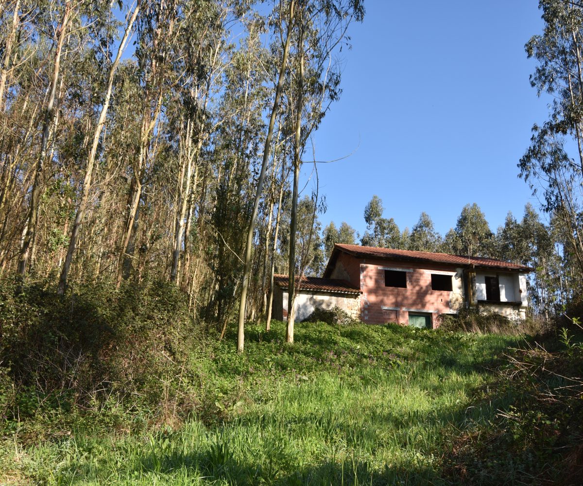 | Inmobiliaria Alfonso