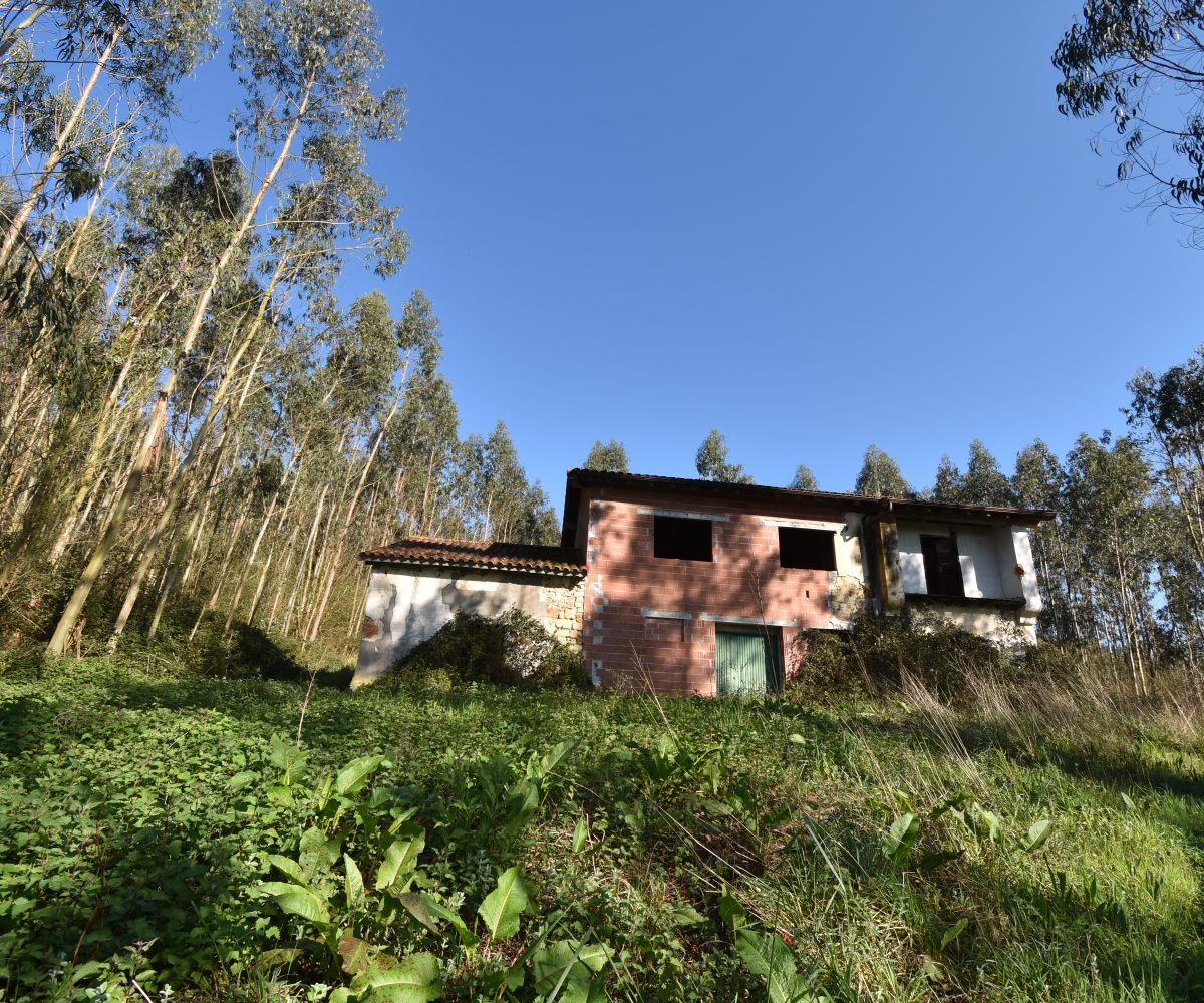 | Inmobiliaria Alfonso