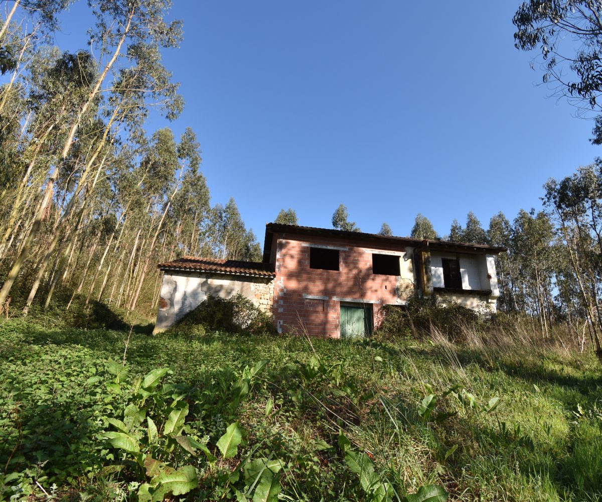 | Inmobiliaria Alfonso