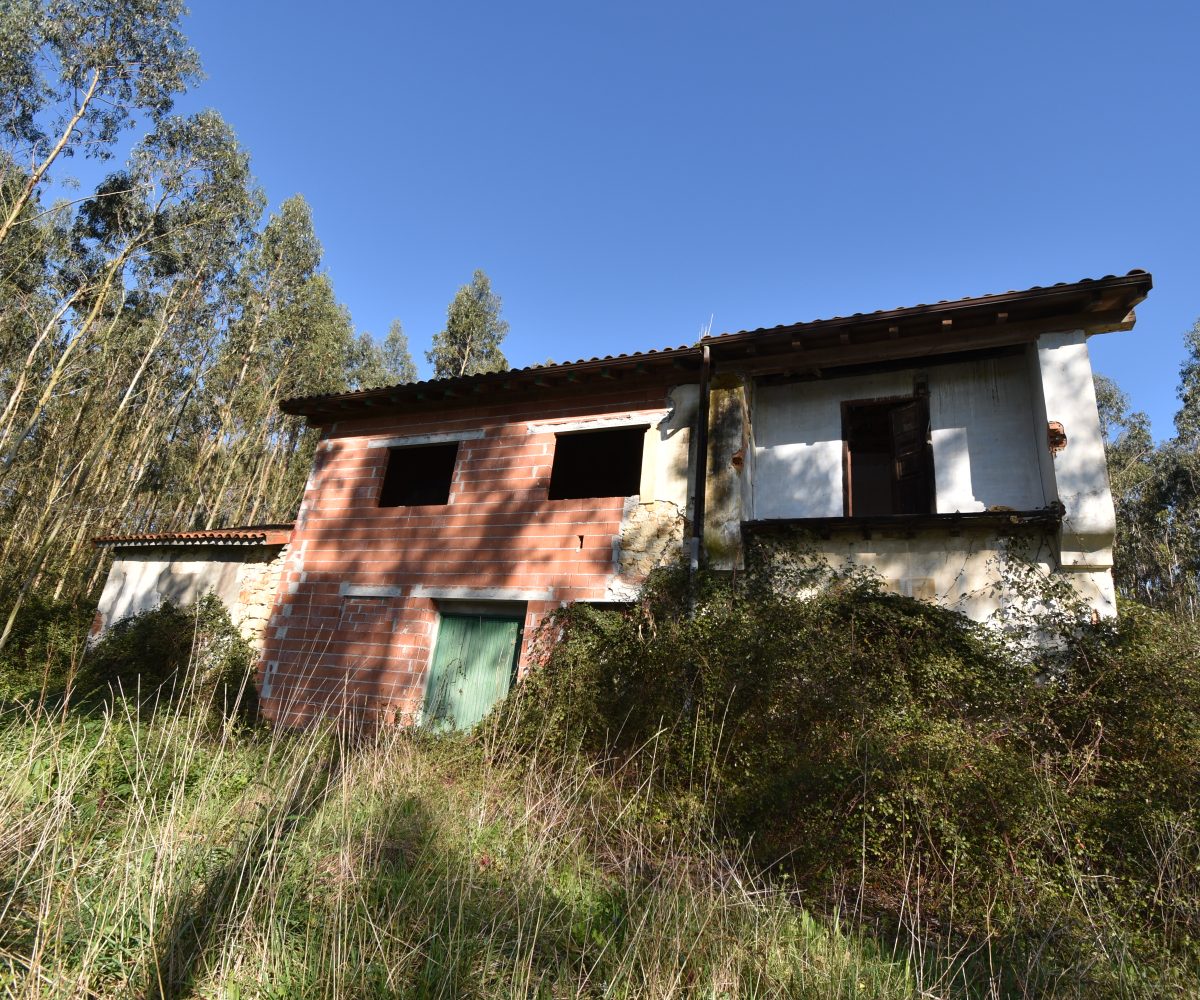 | Inmobiliaria Alfonso